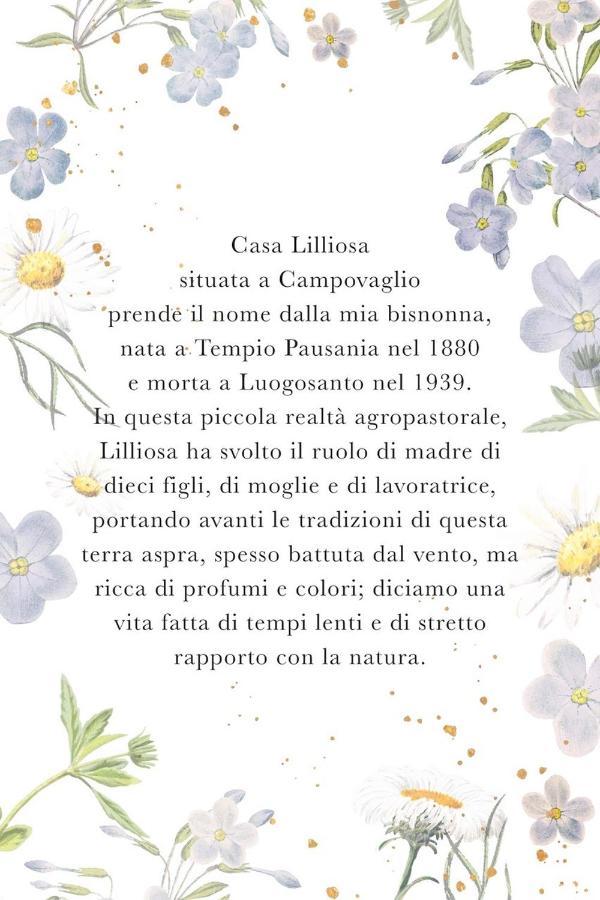 فيلا Casa Lilliosa Campavaglio المظهر الخارجي الصورة