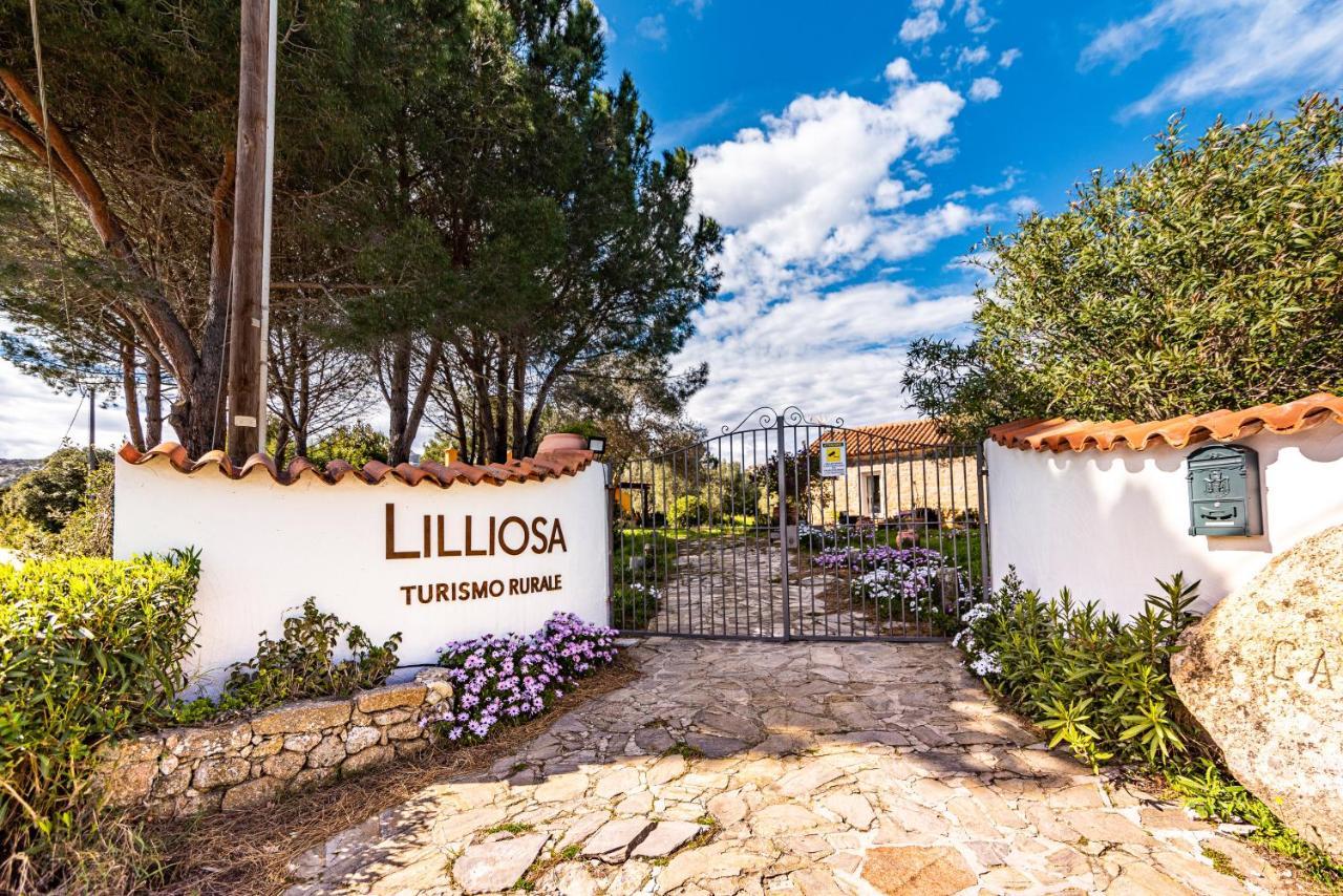 فيلا Casa Lilliosa Campavaglio المظهر الخارجي الصورة